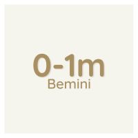 bemini tamanho 0-1 bemini tamanho 0-1
