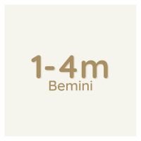 bemini tamanho 1-4 bemini tamanho 1-4