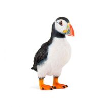 PAPO - Papagaio-Do-Mar